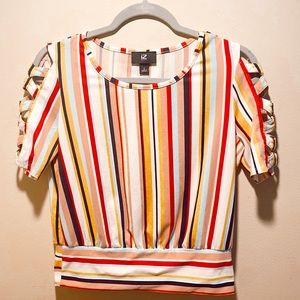 Multi Color Vertical Stripes Blouse, Size Small, IZ Byer